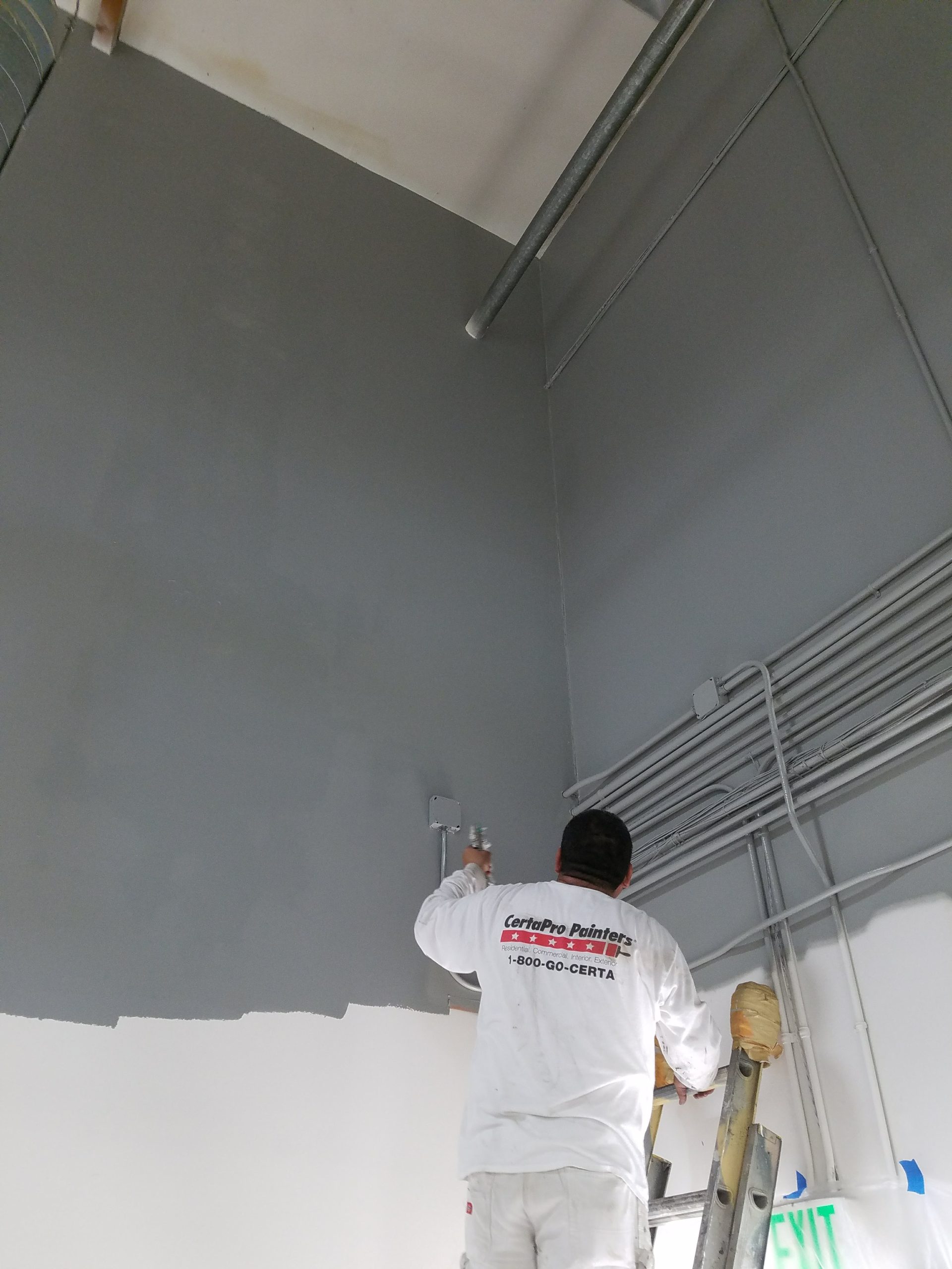 Painter painting the wall with grey paint